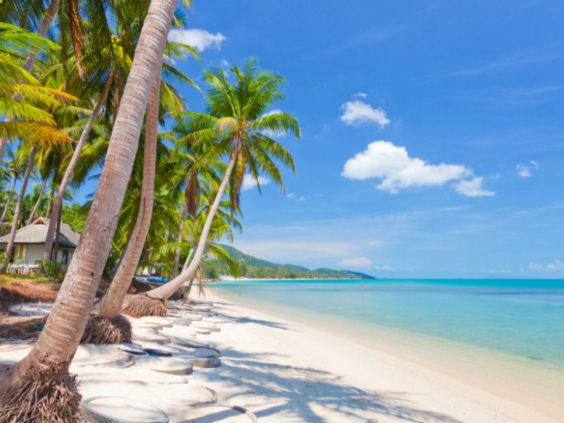 Bangkok, Koh Samui and Koh Phangan — 7